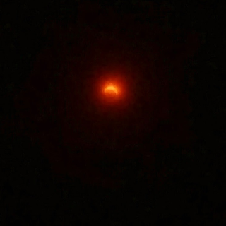 Illustration for article titled A photographic timeline of my total non-effort to see the eclipse that resulted in seeing it anyway